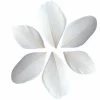 GRAINE CRÉATIVE - 100 plumes coupées - blanc 6 cm