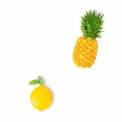 GRAINE CRÉATIVE - Moule silicone pour pâte polymère - exotique