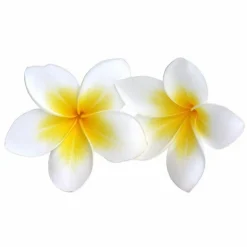 GRAINE CRÉATIVE - Parfum pour savon 54 ml - monoï