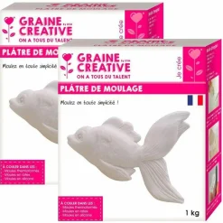 GRAINE CRÉATIVE - Plâtre de moulage 2 kg