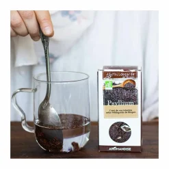 HILDEGARDE DE BINGEN - Psyllium bio 500 g