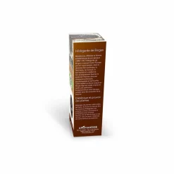 HILDEGARDE DE BINGEN - Psyllium bio 300 g