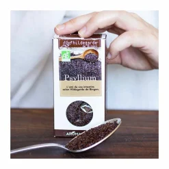 HILDEGARDE DE BINGEN - Psyllium bio 400 g