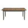 INTERIOR'S - Table rectangulaire extensible 10 personnes bois gris - esquisse interior's