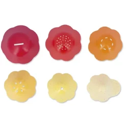 JANOD - Jouet de bain bernard et sa coquille