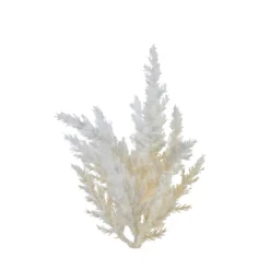 KSD DÉCO - Tige Herbe de la pampa plastique h 20 cm