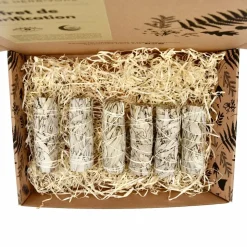 LA BOUGIE HERBIVORE - Lot de 6 Bâtons de Sauge Blanche – Rituel de Purification Naturelle