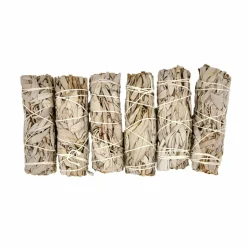LA BOUGIE HERBIVORE - Lot de 6 Bâtons de Sauge Blanche – Rituel de Purification Naturelle