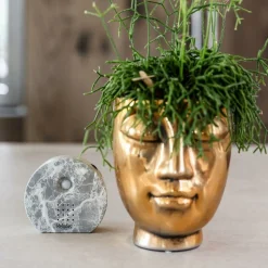 LA GREEN TOUCH - Boîte mélodie nature - marbre