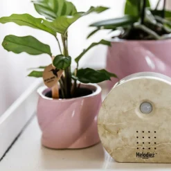 LA GREEN TOUCH - Boîte mélodieuse - son naturel