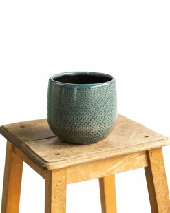 LA GREEN TOUCH - Cache pot bari bleu