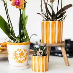 LA GREEN TOUCH - Cache-pot malaga orange