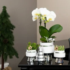 LA GREEN TOUCH - Le chic - pot décoratif en céramique blanche