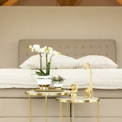 LA GREEN TOUCH - Le chic - pot décoratif blanc avec détails dorés