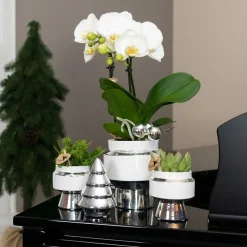 LA GREEN TOUCH - Le chic : pot en céramique blanche argentée