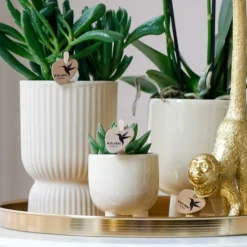 LA GREEN TOUCH - Offre combinée - pots en travertin gummy