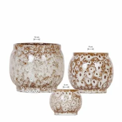 LA GREEN TOUCH - Offre combinée safari pots décoratifs