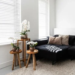 LA GREEN TOUCH - Offre combinée safari pots décoratifs