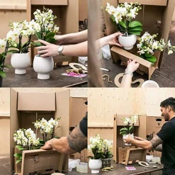 LA GREEN TOUCH - Ornement décoratif cacatoès - terracotta