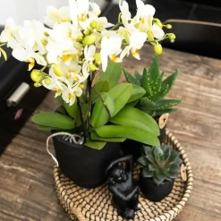 LA GREEN TOUCH - Ornement décoratif singe assis - noir