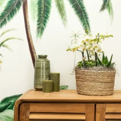 LA GREEN TOUCH - Panier reed tressé naturel - sierschaal