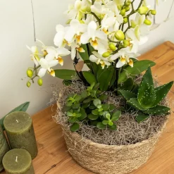 LA GREEN TOUCH - Panier reed tressé naturel - sierschaal