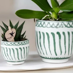 LA GREEN TOUCH - Plateau ovale blanc - home cloud