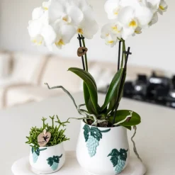 LA GREEN TOUCH - Plateau ovale blanc - home cloud