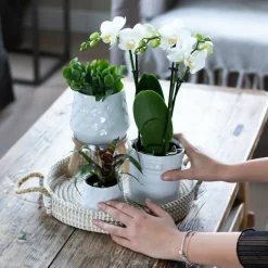 LA GREEN TOUCH - Plateau tressé blanc - accessoire déco