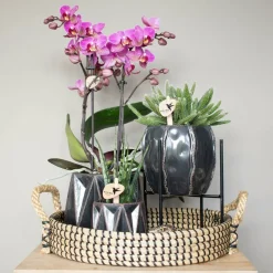 LA GREEN TOUCH - Plateau tressé noir - accessoire maison