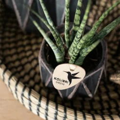 LA GREEN TOUCH - Plateau tressé noir - accessoire maison