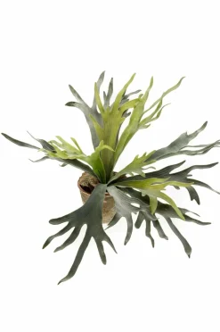 LA GREEN TOUCH - Platycerium plante artificielle- h50cm, ø15cm