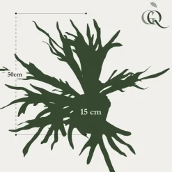 LA GREEN TOUCH - Platycerium plante artificielle- h50cm, ø15cm