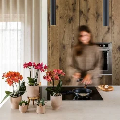 LA GREEN TOUCH - Pot bali - sable - minimaliste et élégant