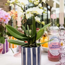 LA GREEN TOUCH - Pot céramique rayé bleu