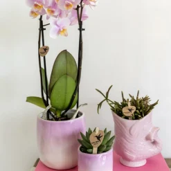 LA GREEN TOUCH - Pot céramique fish - rose