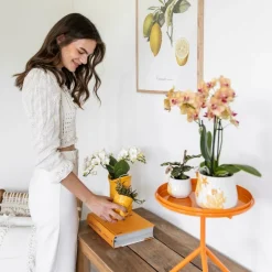 LA GREEN TOUCH - Pot décoratif fish - jaune