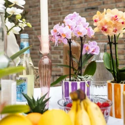 LA GREEN TOUCH - Pot décoratif à rayures oranges