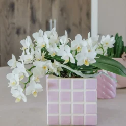 LA GREEN TOUCH - Pot décoratif mosa pink