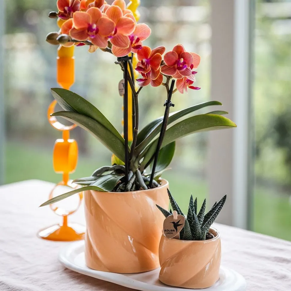 LA GREEN TOUCH - Pot décoratif candy - peach