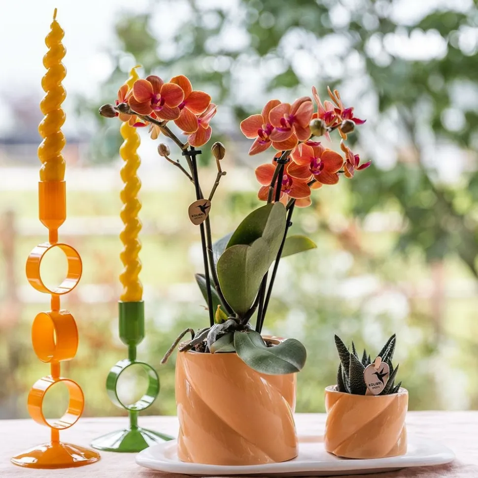 LA GREEN TOUCH - Pot décoratif candy - peach