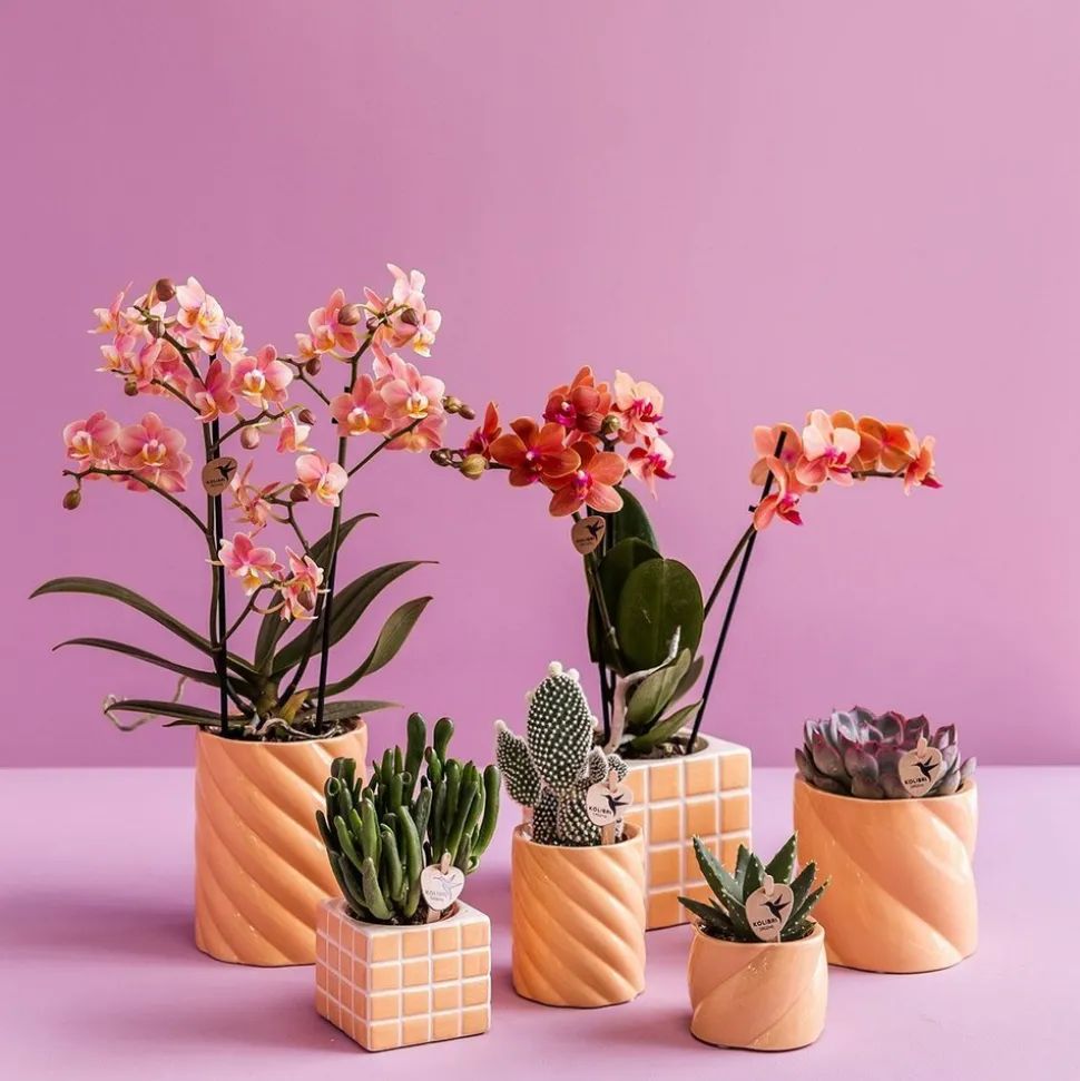 LA GREEN TOUCH - Pot décoratif mosa - orange