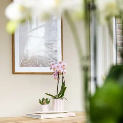 LA GREEN TOUCH - Pot décoratif painted stripe - rose