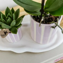 LA GREEN TOUCH - Pot décoratif painted stripe - rose