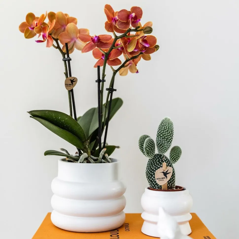 LA GREEN TOUCH - Pot décoratif en céramique bubble blanc