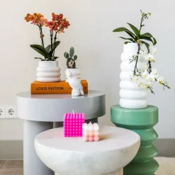 LA GREEN TOUCH - Pot décoratif en céramique bubble blanc