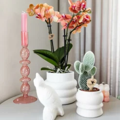 LA GREEN TOUCH - Pot décoratif en céramique bubble blanc