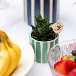 LA GREEN TOUCH - Pot décoratif painted stripe - turquoise