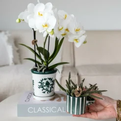 LA GREEN TOUCH - Pot décoratif painted stripe - vert