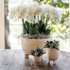 LA GREEN TOUCH - Pot décoratif gummy travertin